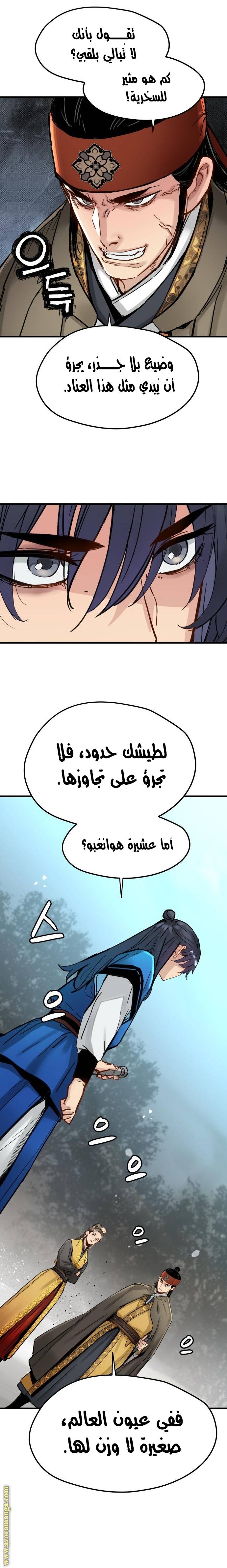 الصفحة 17
