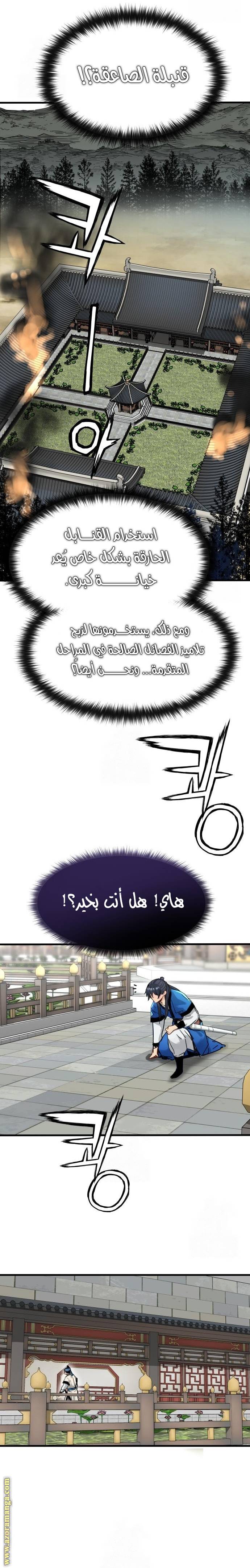 الصفحة 17
