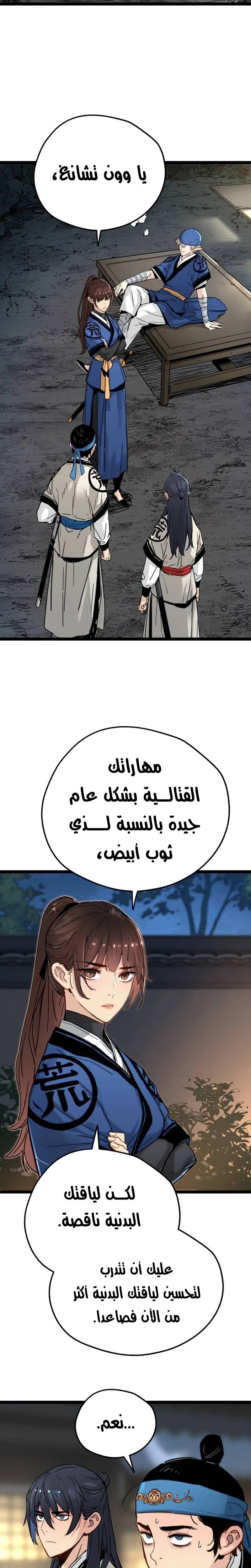 الصفحة 17