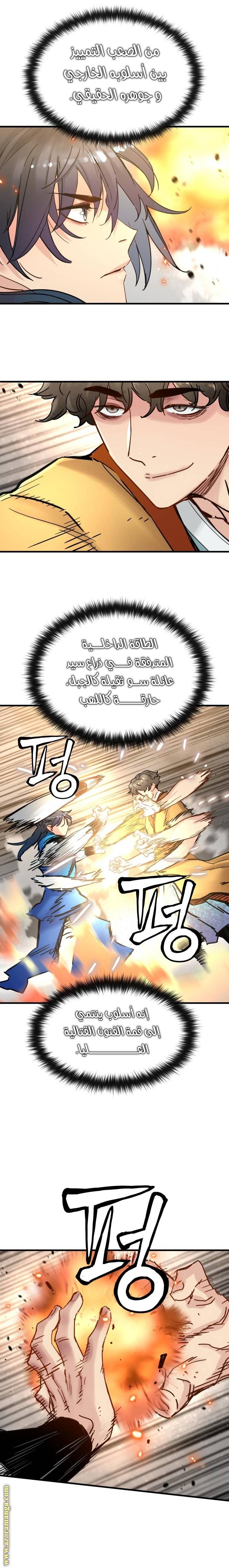 الصفحة 17