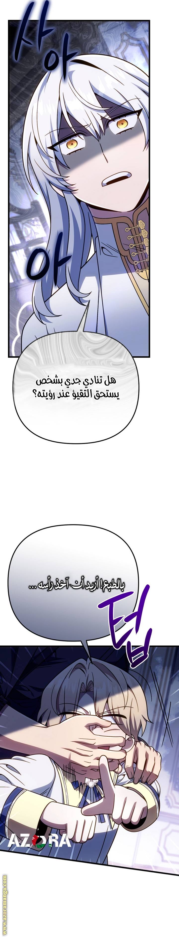 الصفحة 29