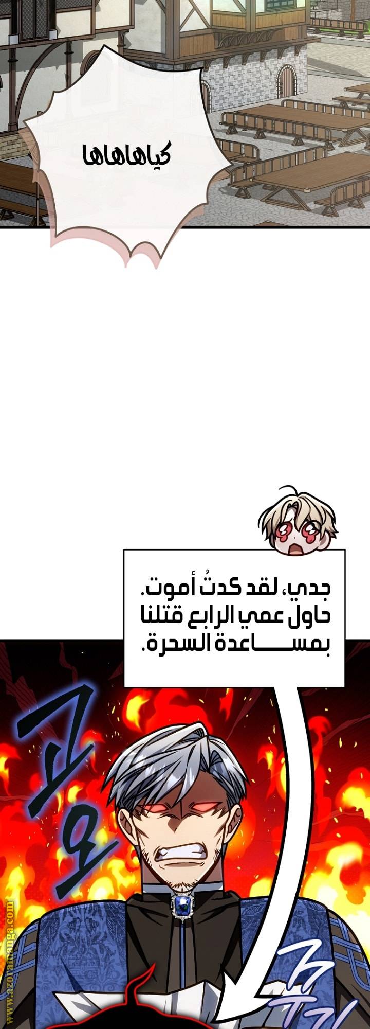الصفحة 17