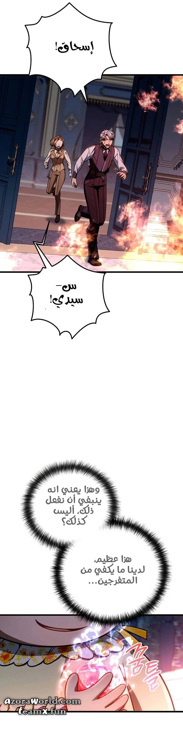 الصفحة 17