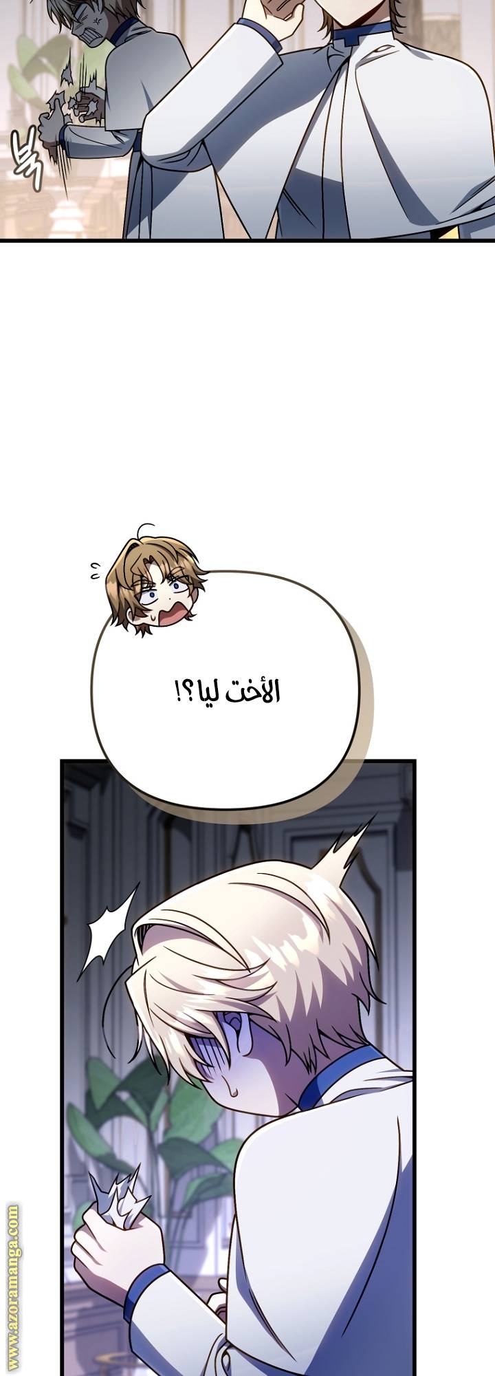الصفحة 29