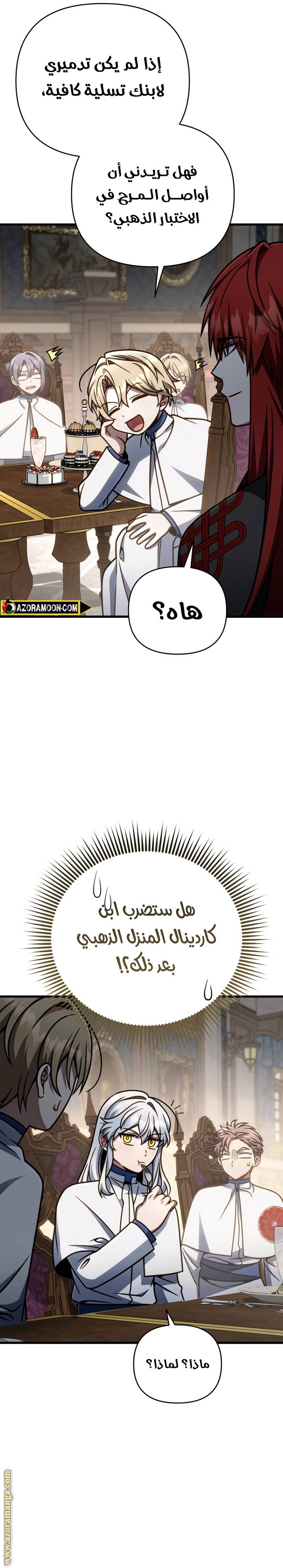الصفحة 14