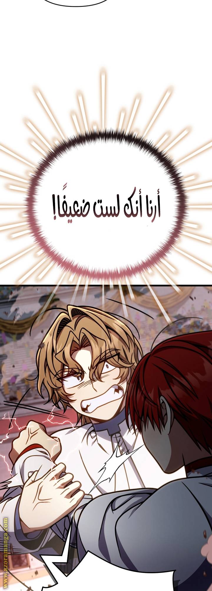 الصفحة 30