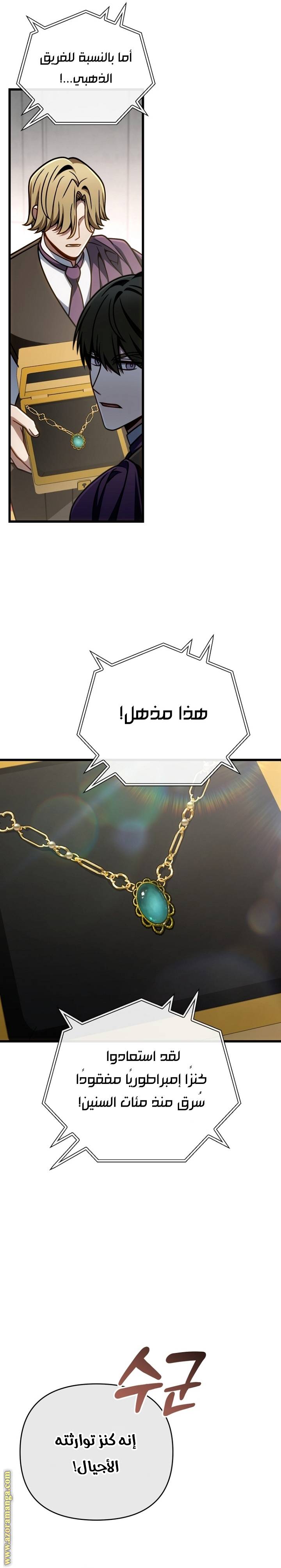 الصفحة 17