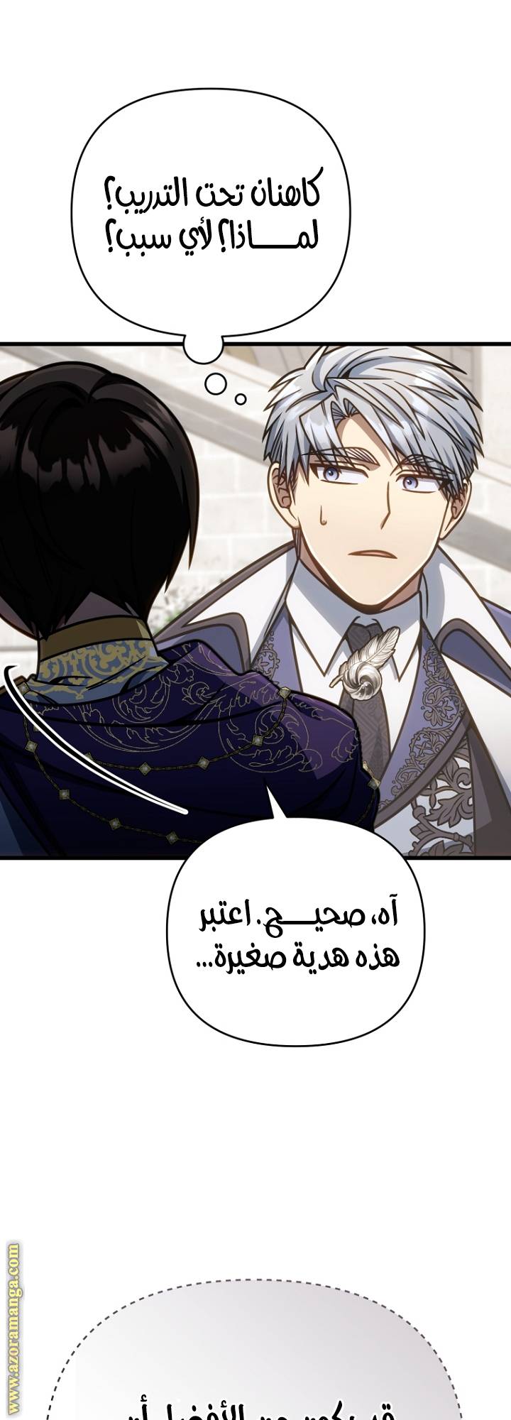 الصفحة 29