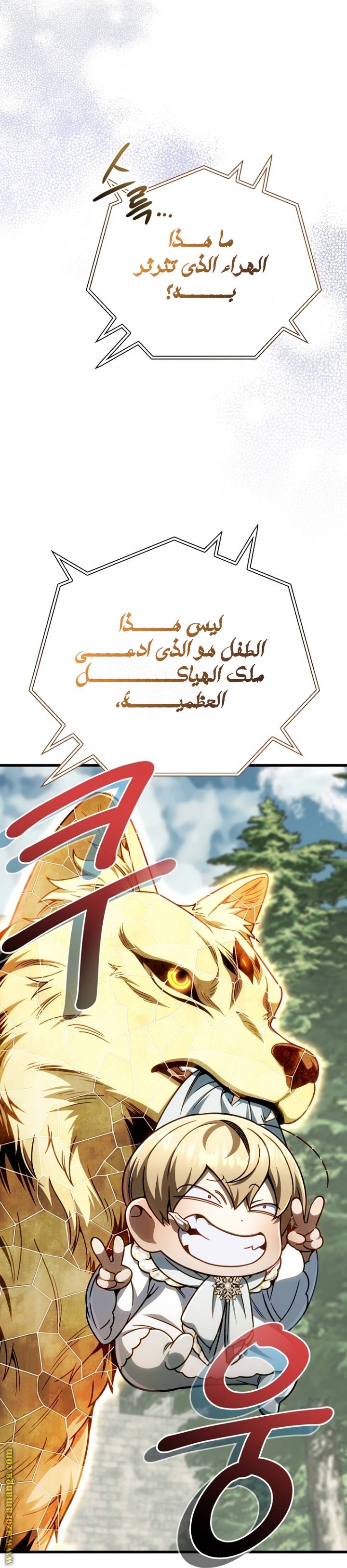 الصفحة 23