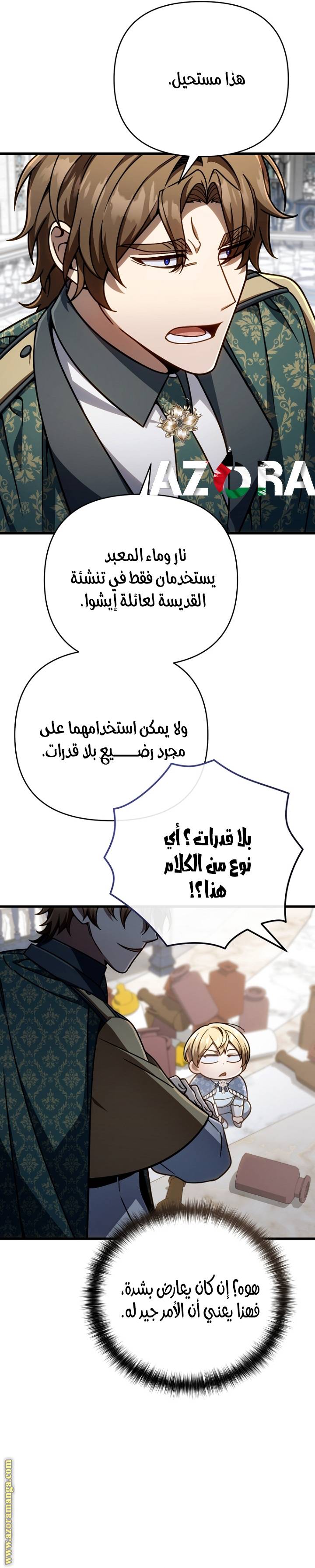 الصفحة 29