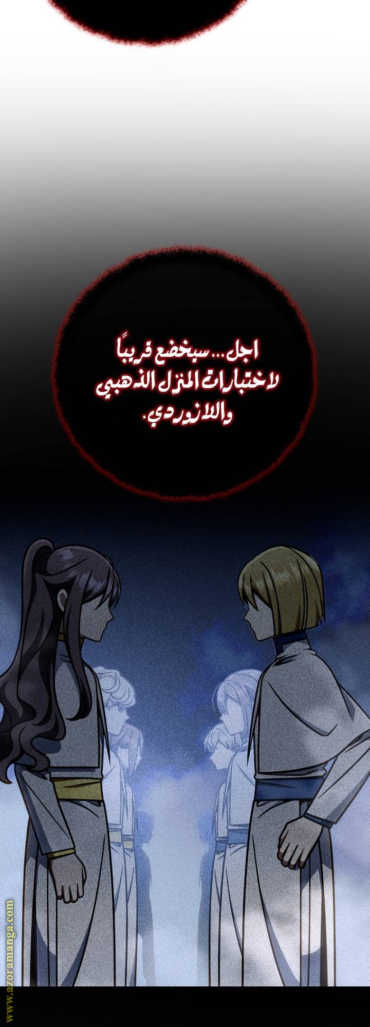 الصفحة 13