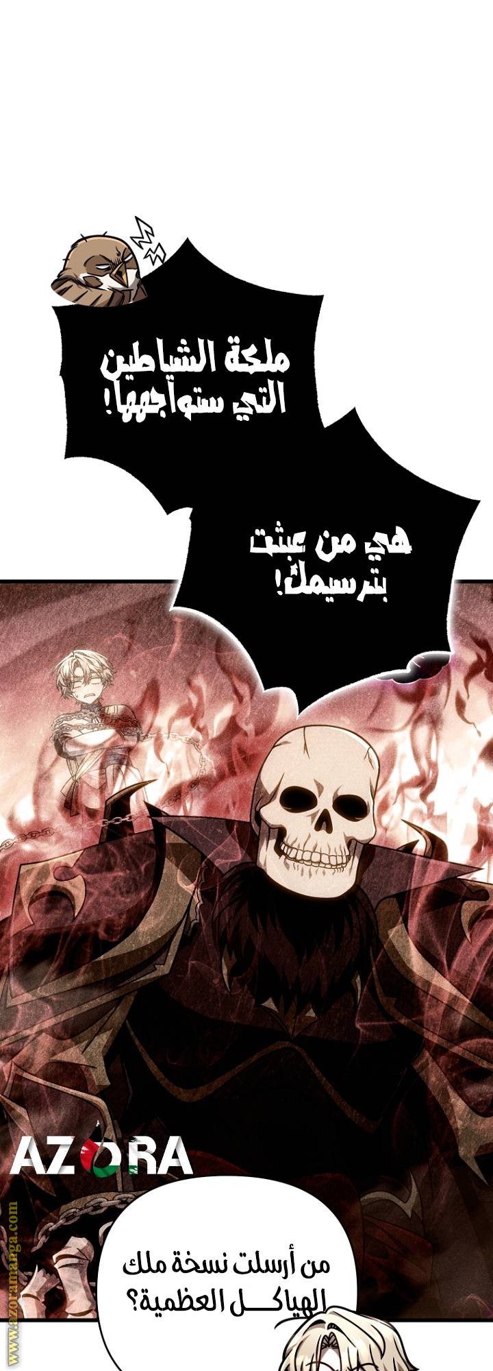 الصفحة 14