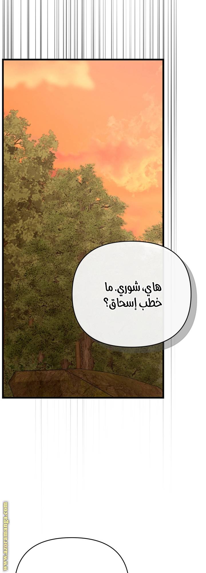 الصفحة 27