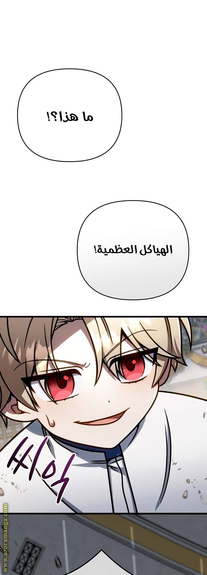 الصفحة 46