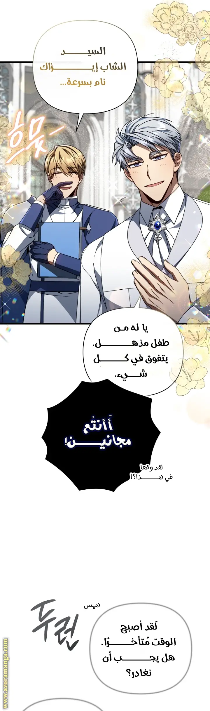 الصفحة 12
