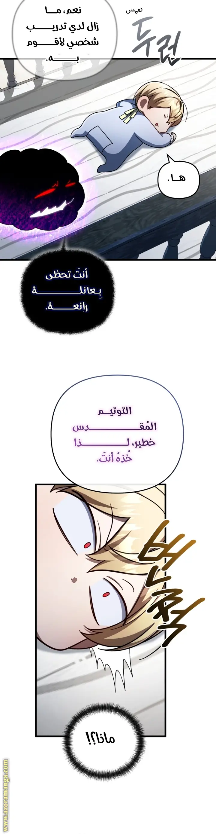 الصفحة 13