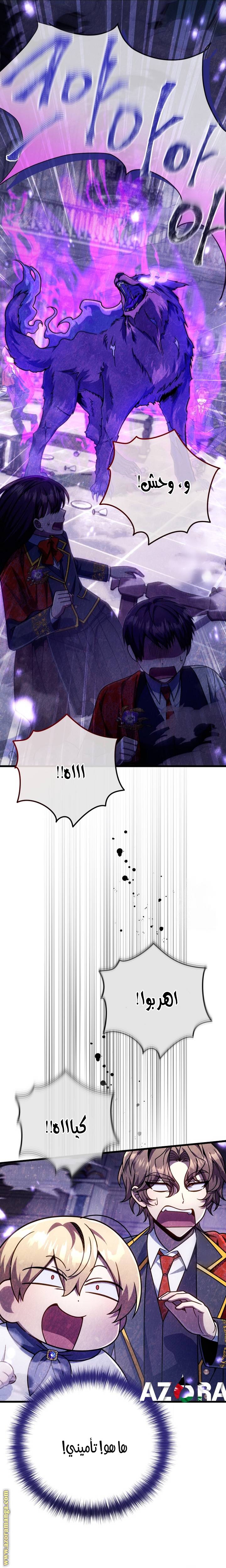 الصفحة 12
