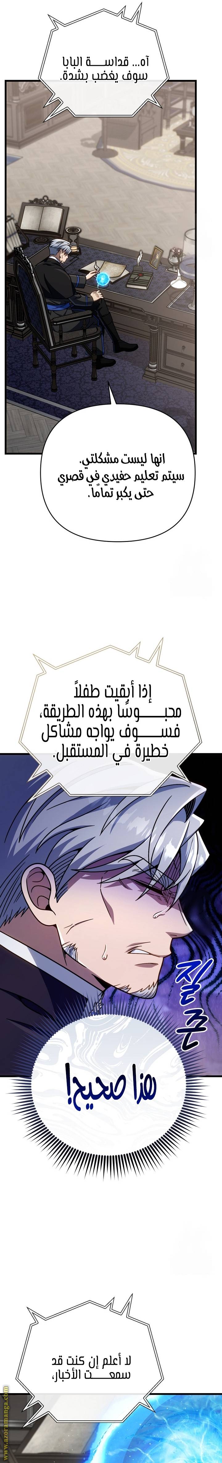الصفحة 27