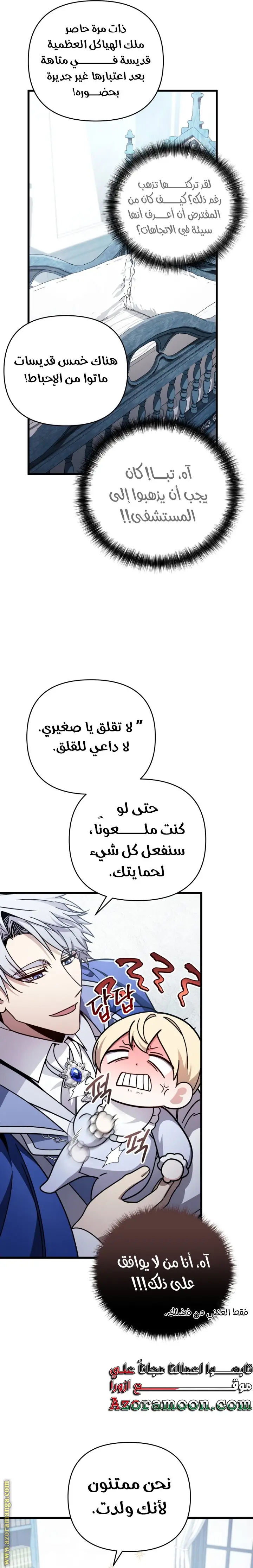 الصفحة 17