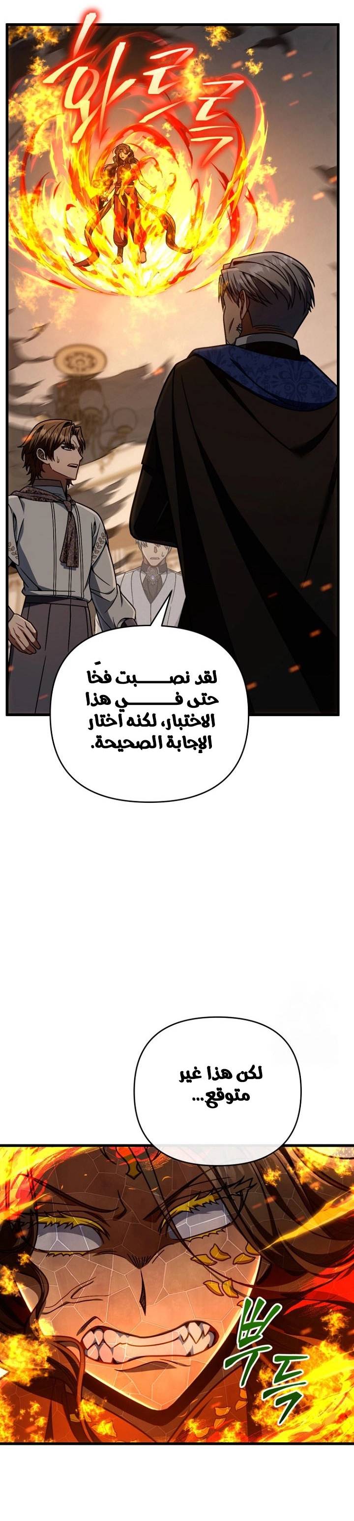 الصفحة 27