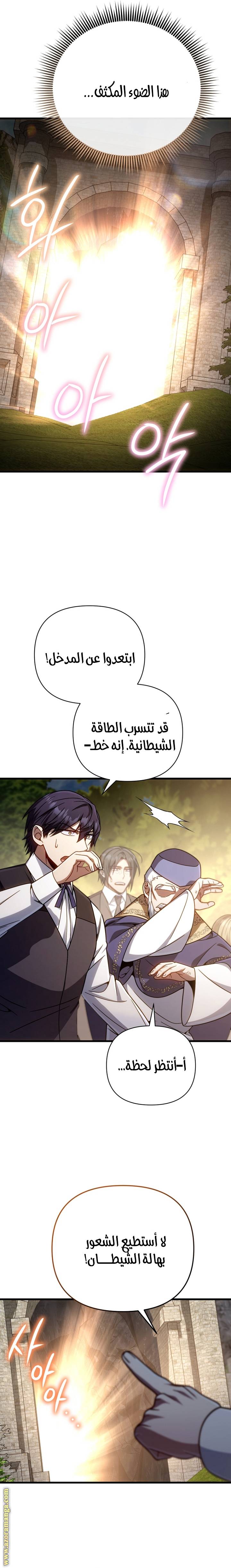 الصفحة 26