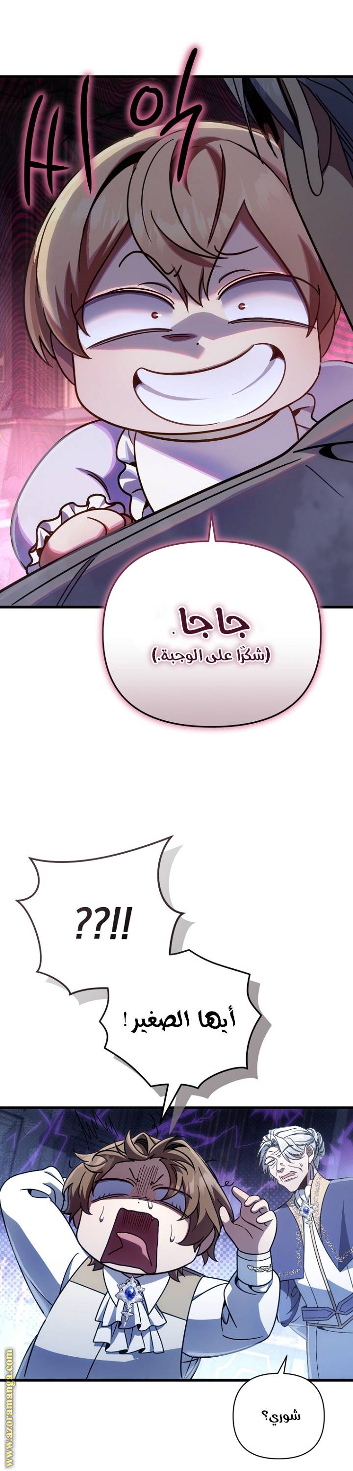 الصفحة 43