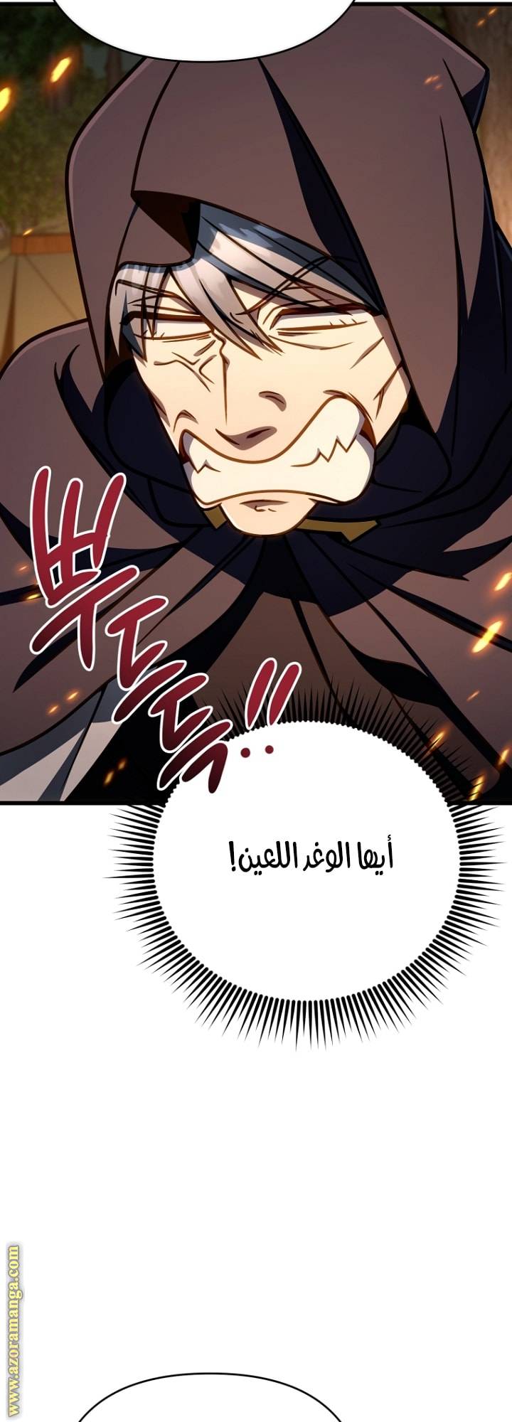 الصفحة 52