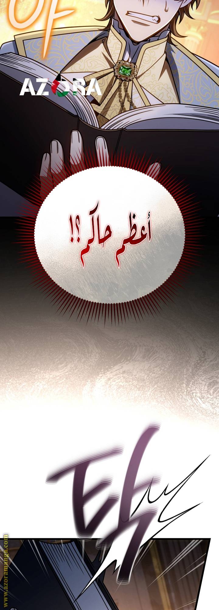 الصفحة 17
