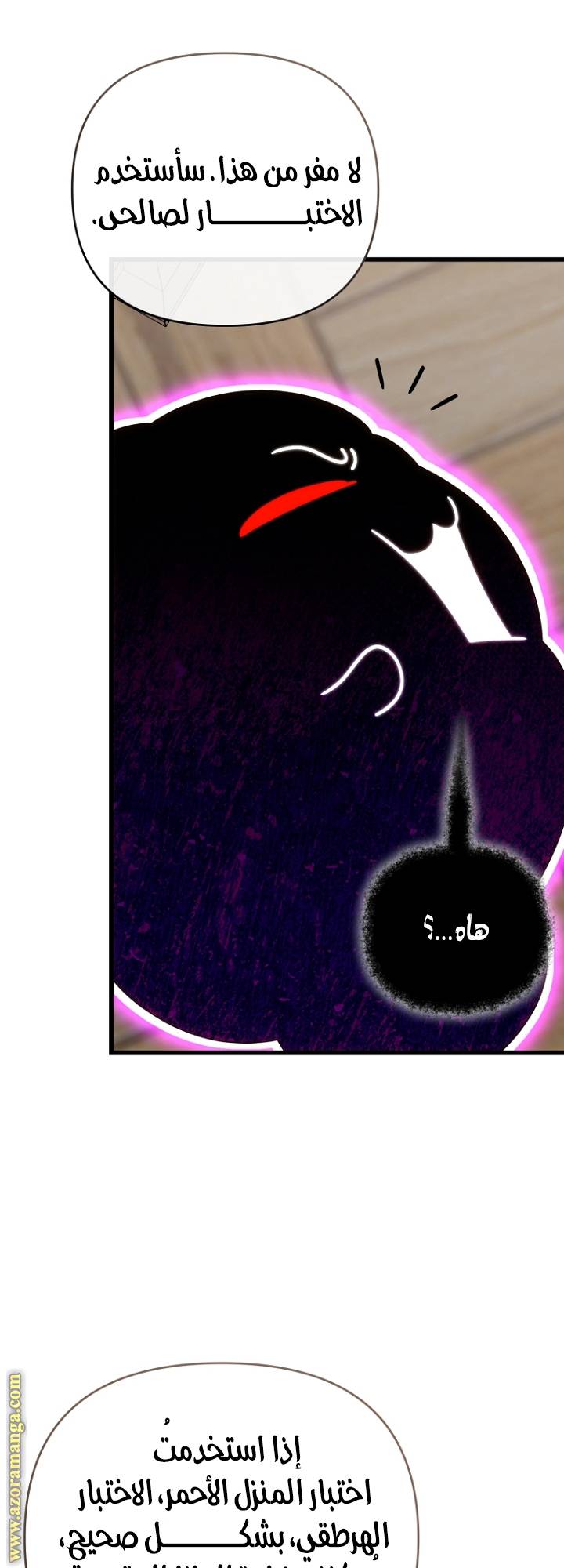 الصفحة 48