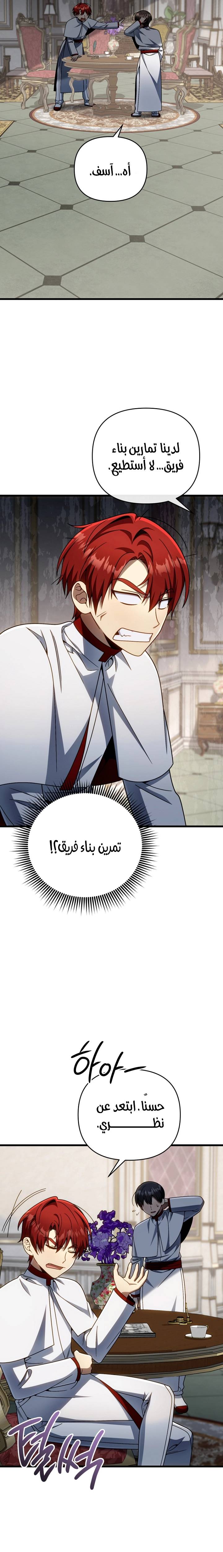 الصفحة 27