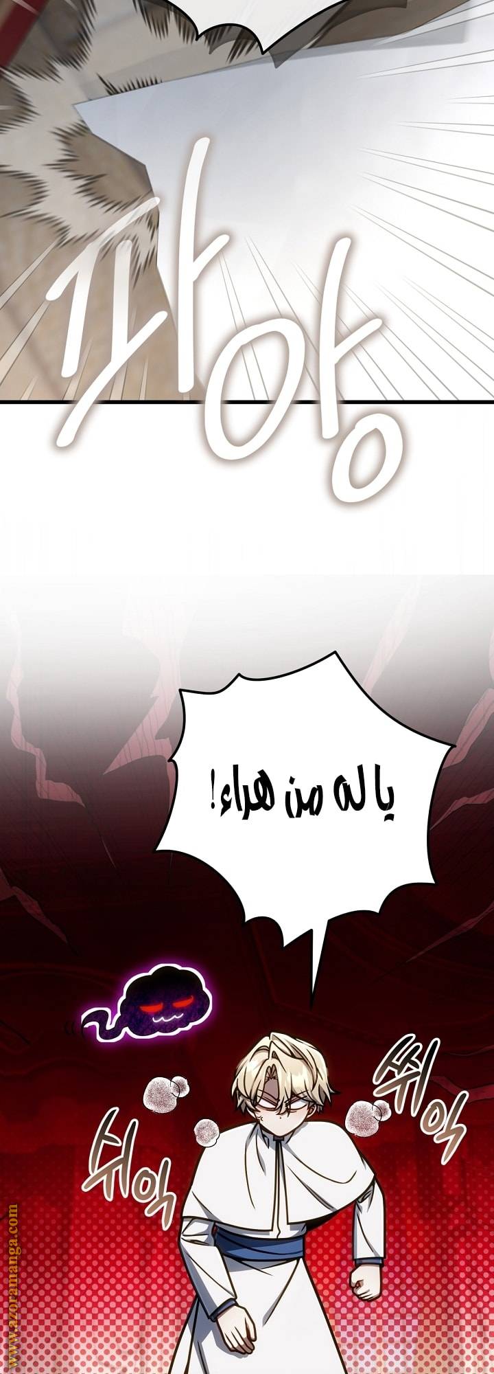الصفحة 17