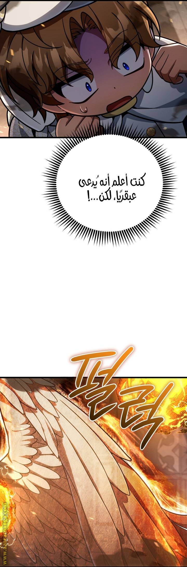 الصفحة 16