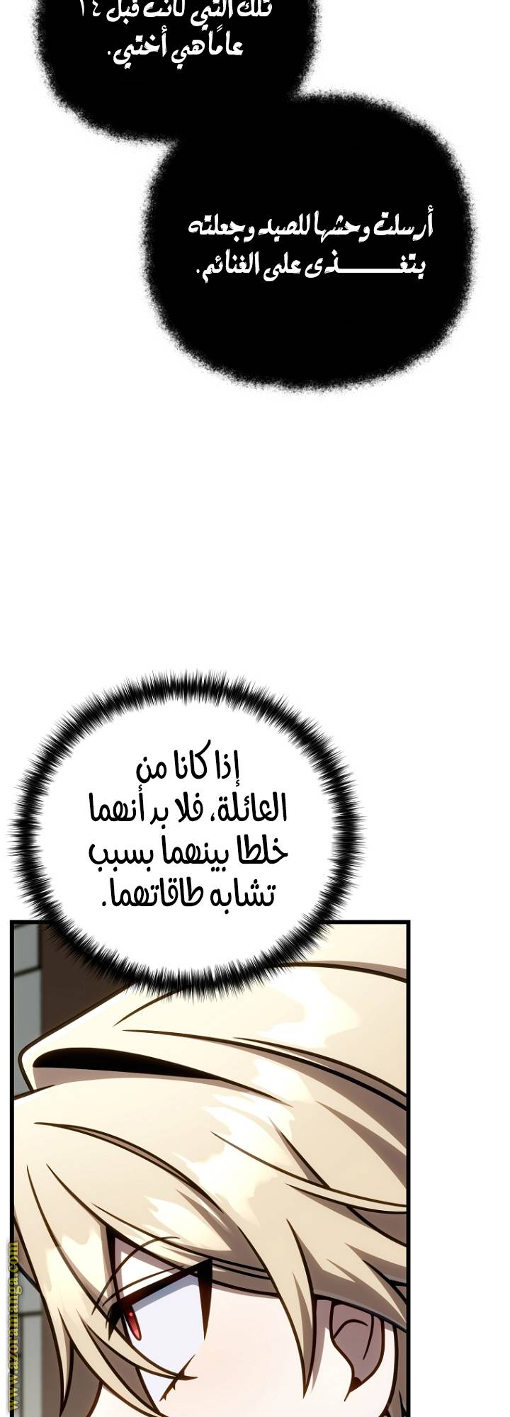 الصفحة 13