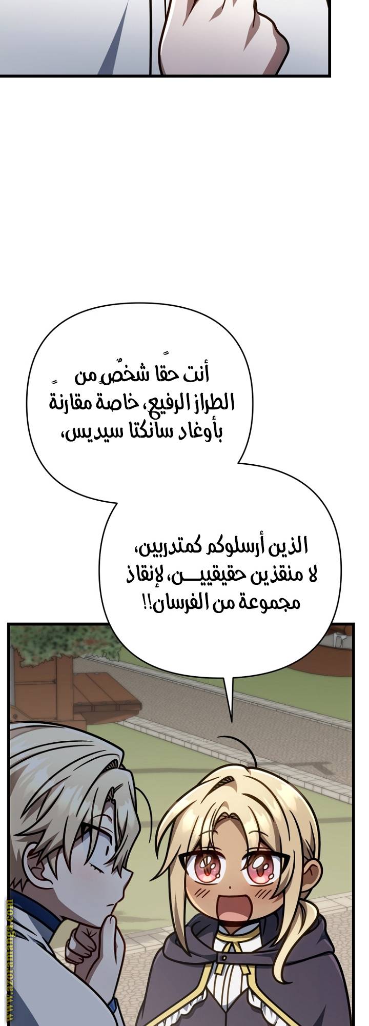 الصفحة 43