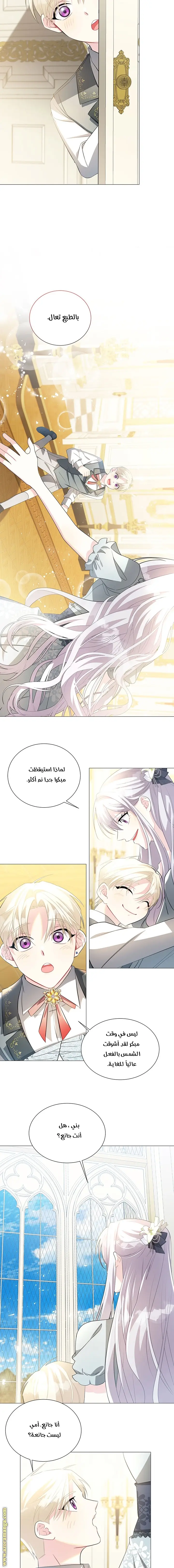 الصفحة 11