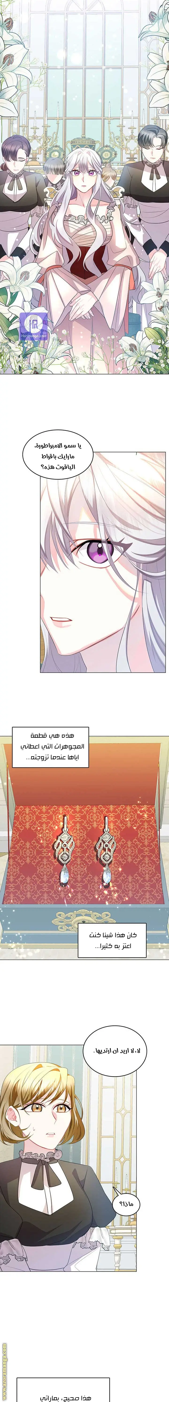 الصفحة 19