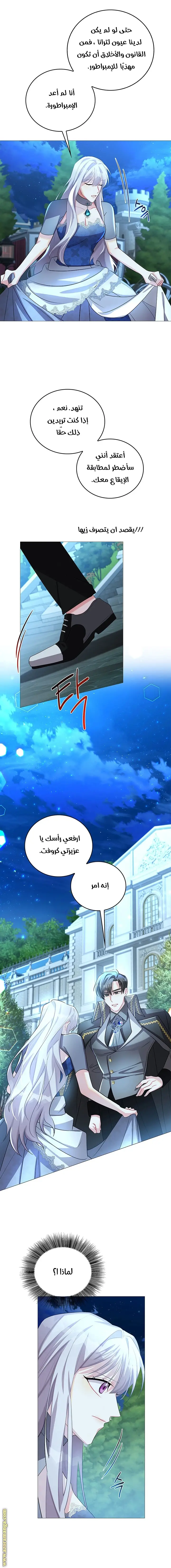 الصفحة 3