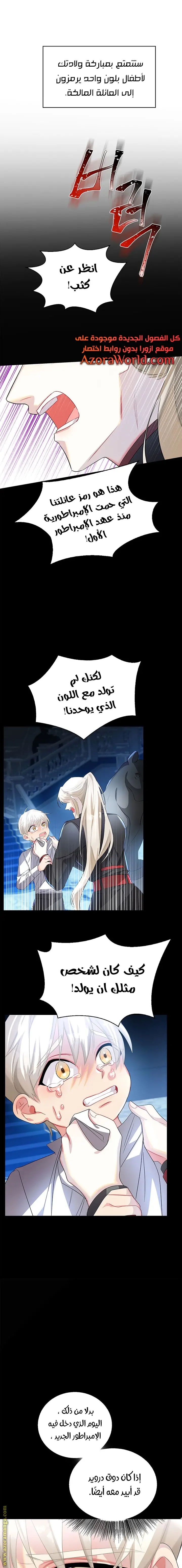 الصفحة 13