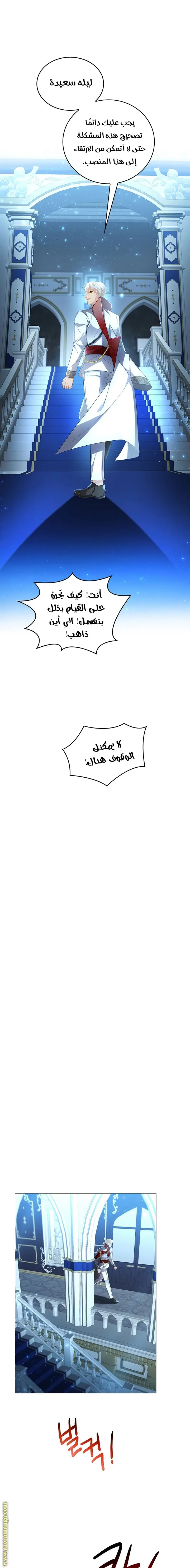 الصفحة 17