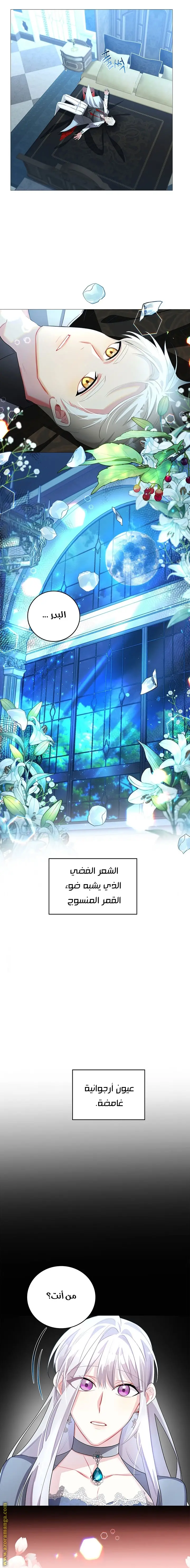 الصفحة 19