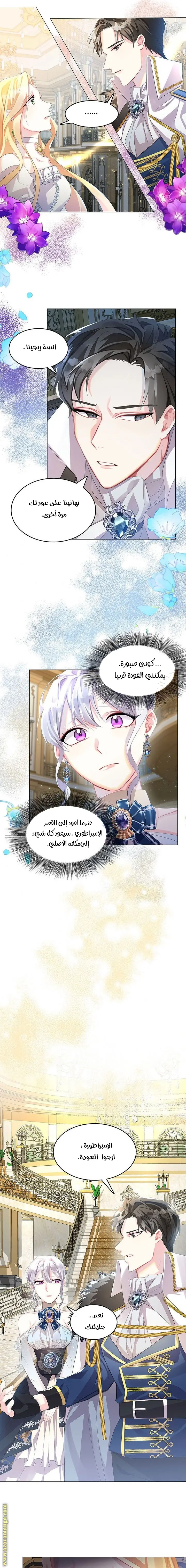 الصفحة 14