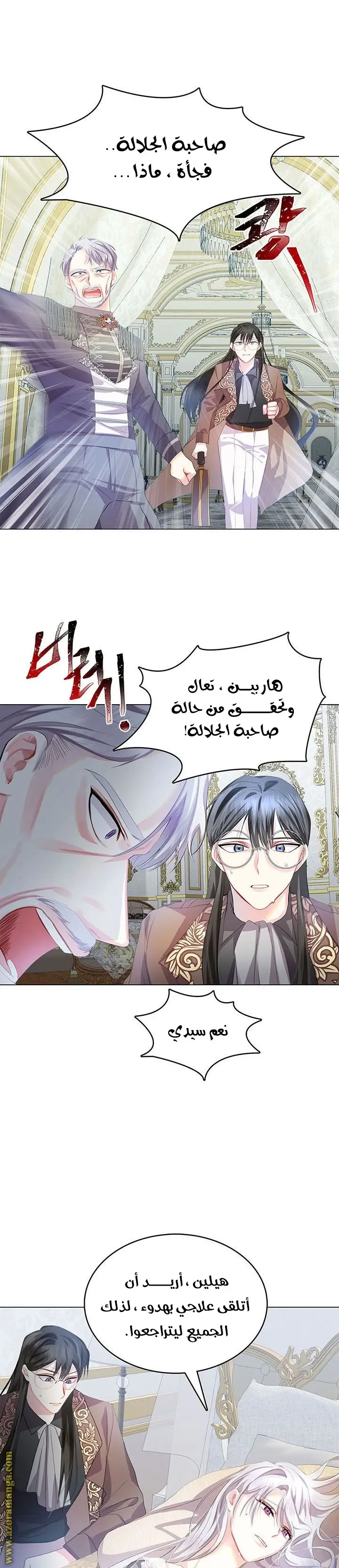 الصفحة 17