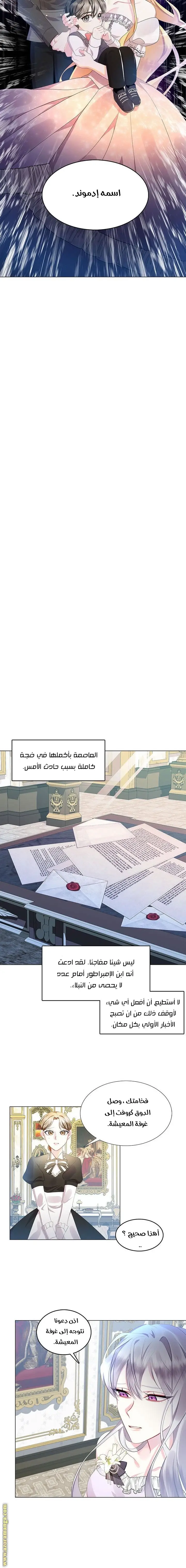 الصفحة 3