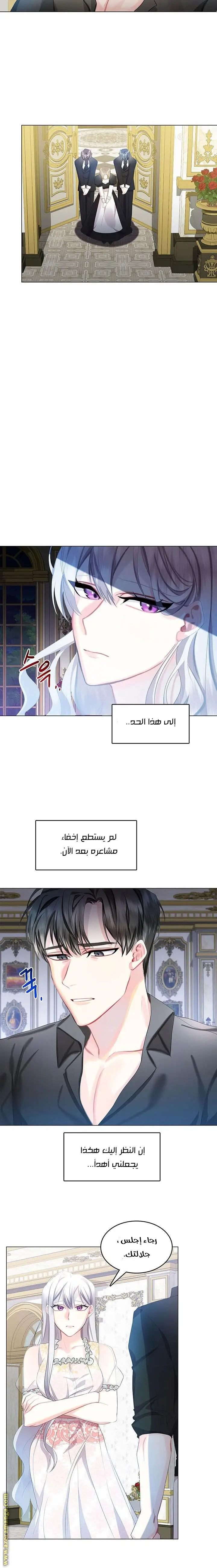 الصفحة 14