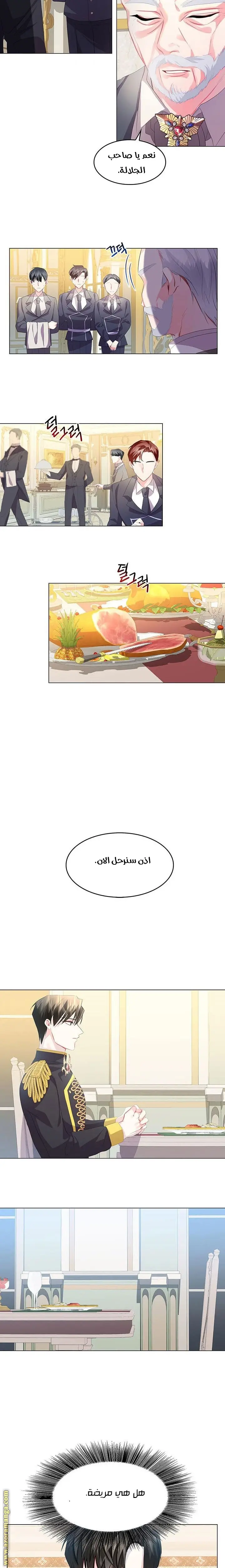 الصفحة 13