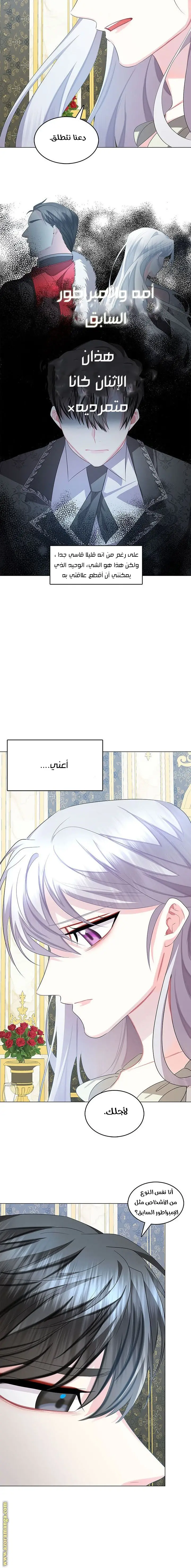 الصفحة 8