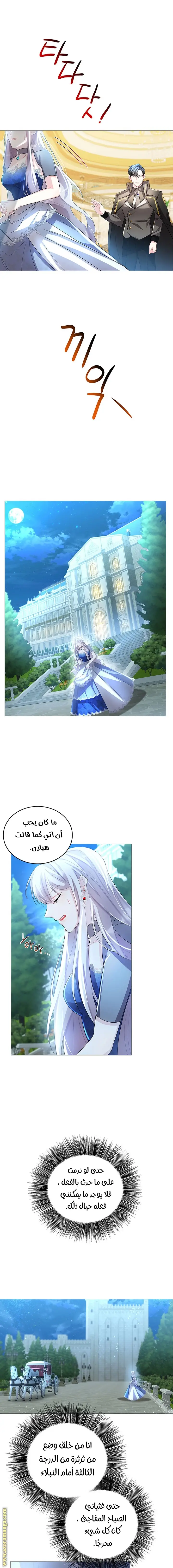 الصفحة 13