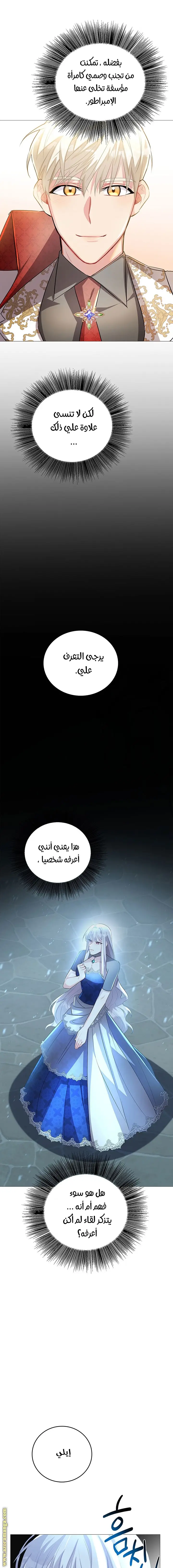 الصفحة 15