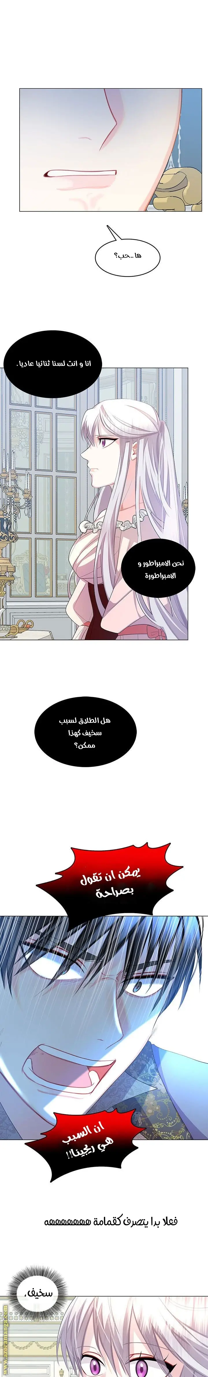 الصفحة 13