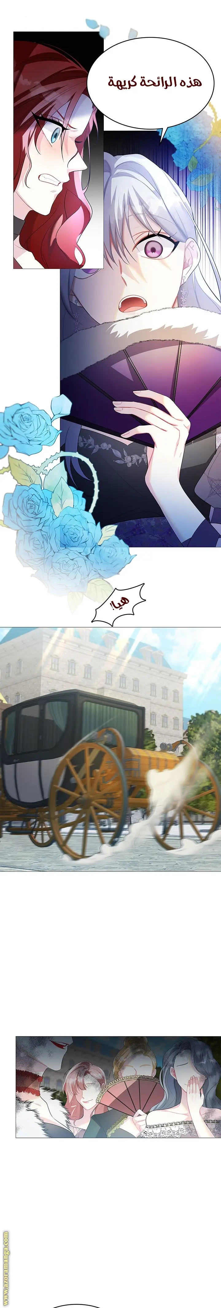 الصفحة 17